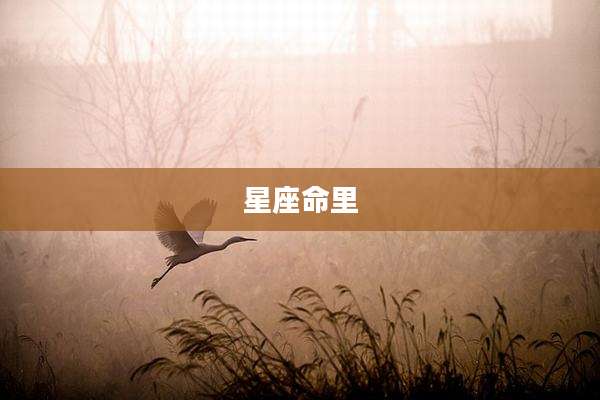 星座命里
