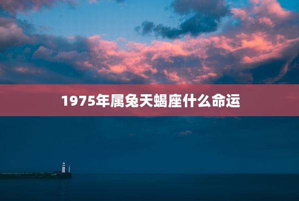1975年属兔天蝎座什么命运