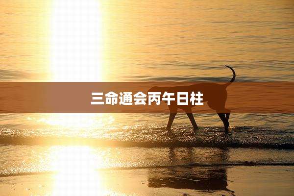 三命通会丙午日柱