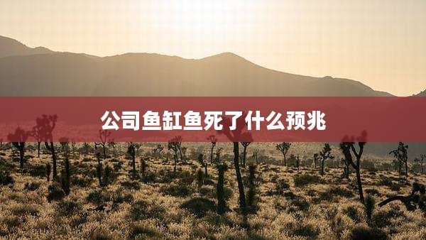 公司鱼缸鱼死了什么预兆