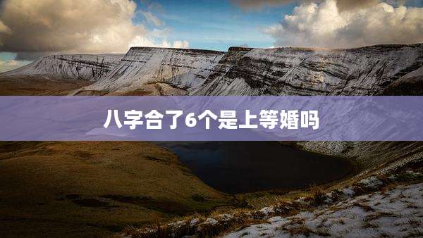 八字合了6个是上等婚吗