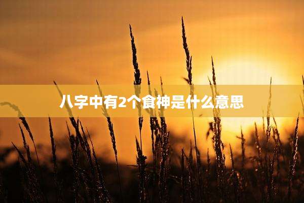 八字中有2个食神是什么意思
