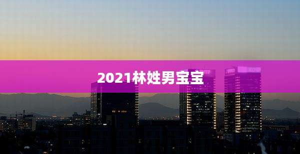 2021林姓男宝宝