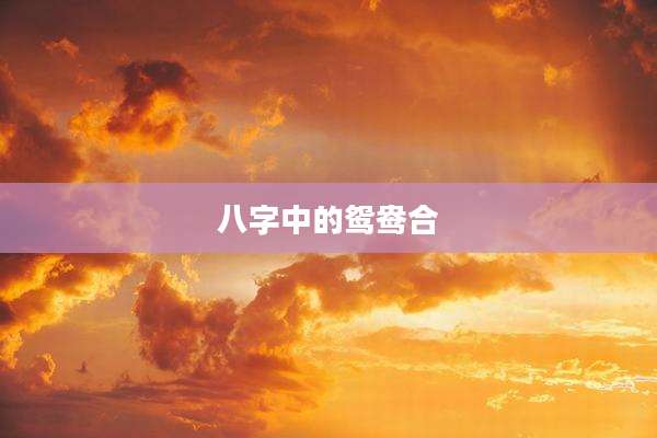 八字中的鸳鸯合