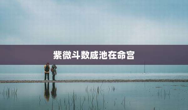 紫微斗数咸池在命宫