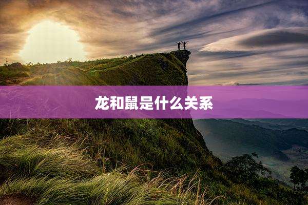 龙和鼠是什么关系