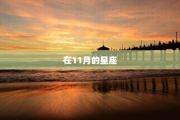 在11月的星座