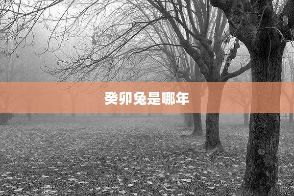癸卯兔是哪年