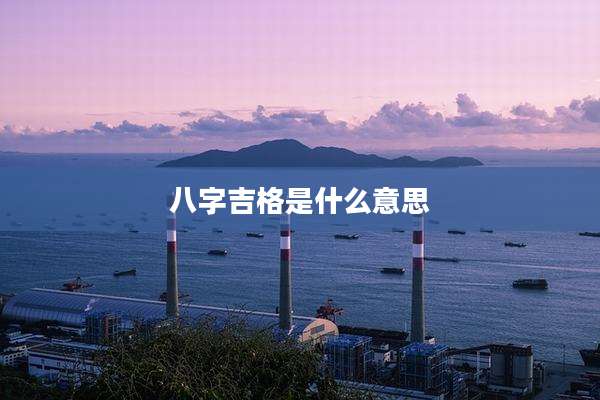 八字吉格是什么意思