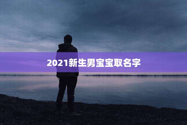2021新生男宝宝取名字