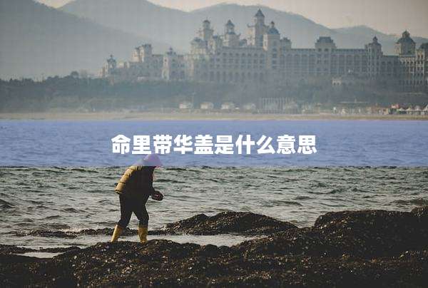 命里带华盖是什么意思