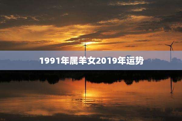 1991年属羊女2019年运势