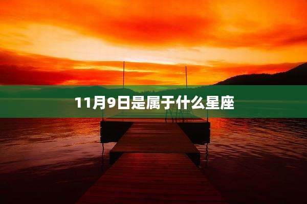 11月9日是属于什么星座