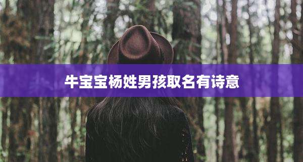牛宝宝杨姓男孩取名有诗意