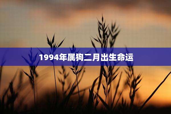 1994年属狗二月出生命运