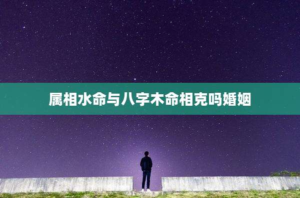 属相水命与八字木命相克吗婚姻