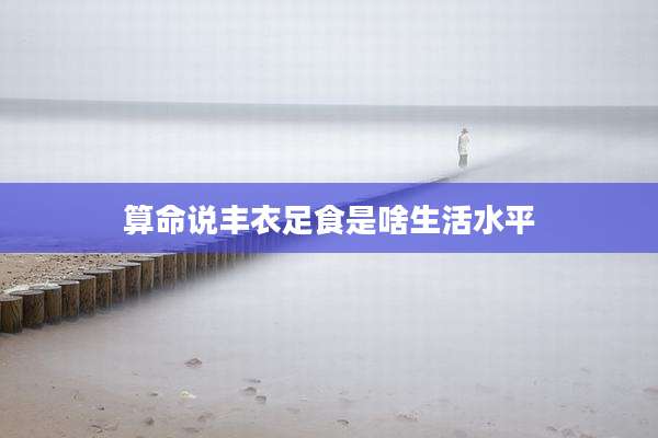 算命说丰衣足食是啥生活水平