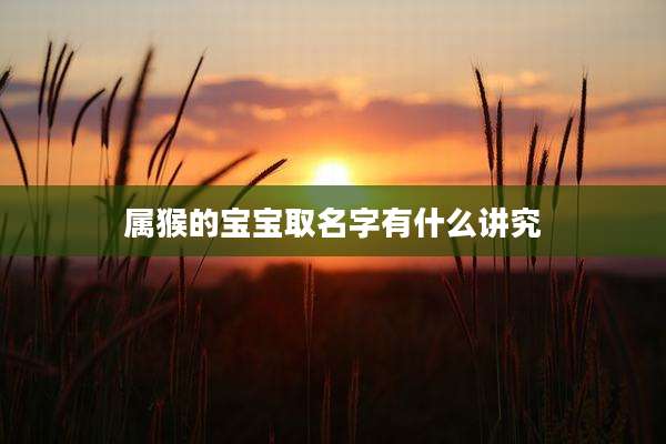 属猴的宝宝取名字有什么讲究