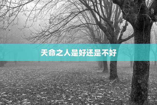 天命之人是好还是不好