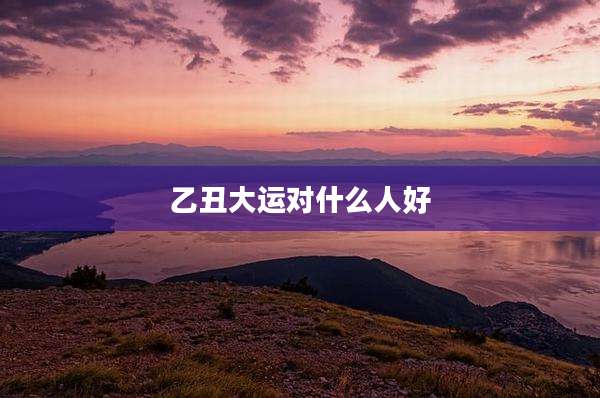 乙丑大运对什么人好