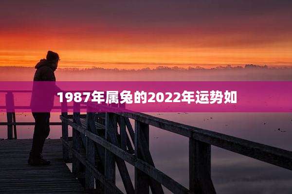 1987年属兔的2022年运势如