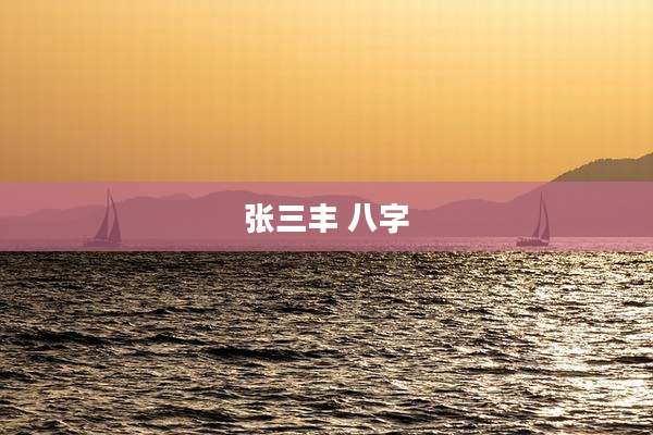 张三丰 八字