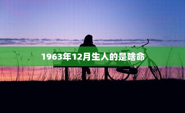 1963年12月生人的是啥命