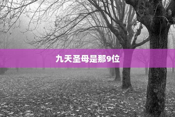 九天圣母是那9位