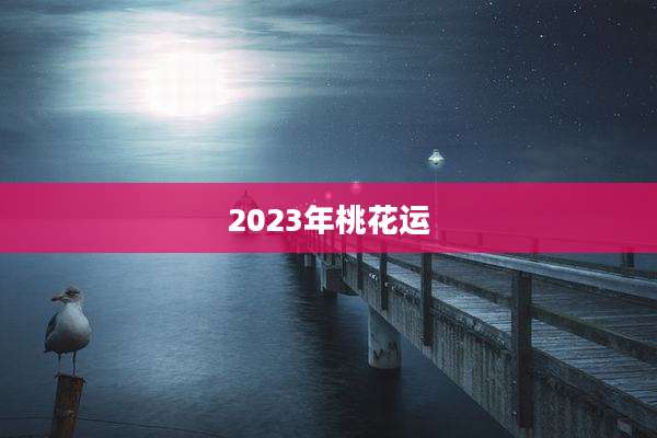 2023年桃花运
