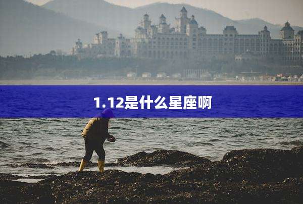 1.12是什么星座啊