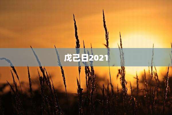 戊己日2021