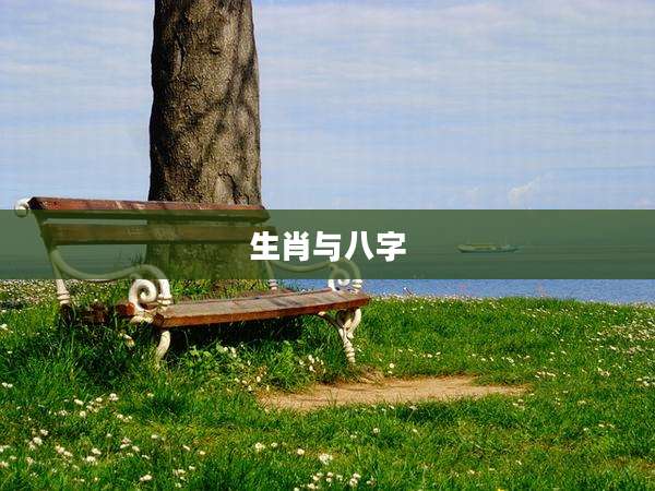 生肖与八字