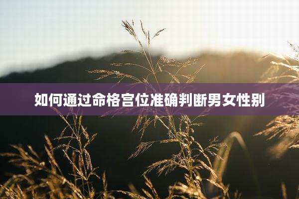 如何通过命格宫位准确判断男女性别