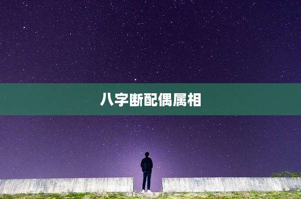 八字断配偶属相