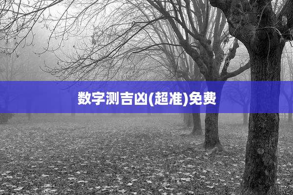 数字测吉凶(超准)免费