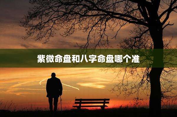 紫微命盘和八字命盘哪个准