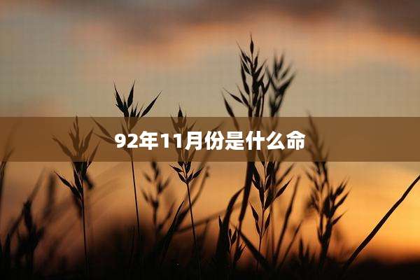 92年11月份是什么命
