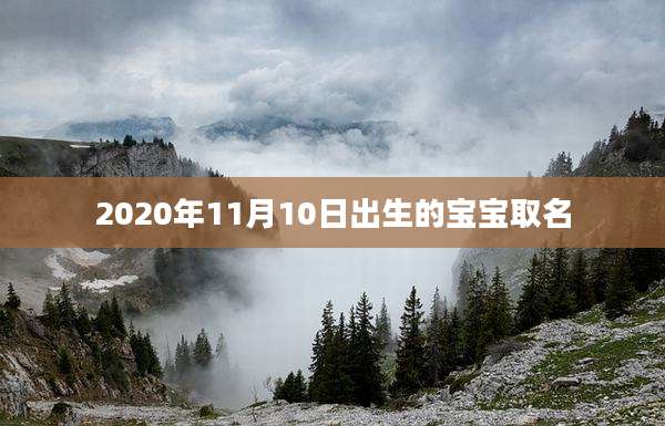 2020年11月10日出生的宝宝取名
