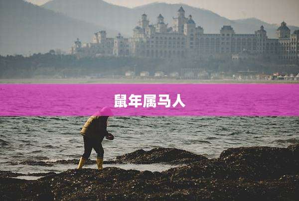 鼠年属马人