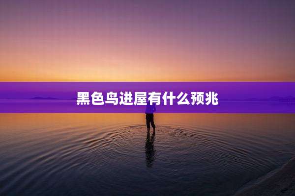 黑色鸟进屋有什么预兆