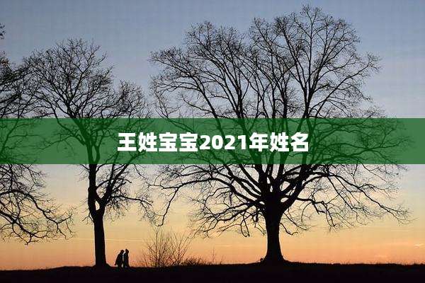 王姓宝宝2021年姓名