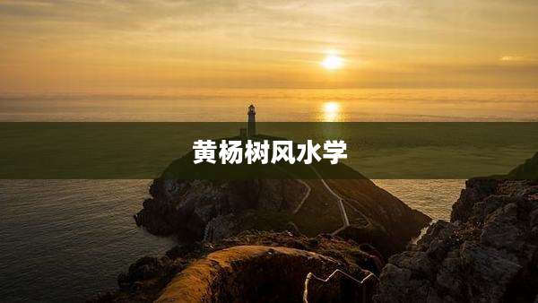 黄杨树风水学