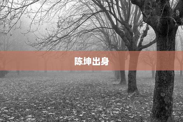 陈坤出身