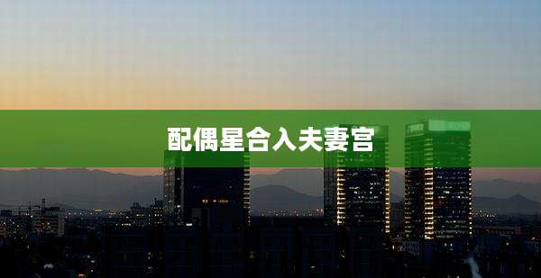 配偶星合入夫妻宫