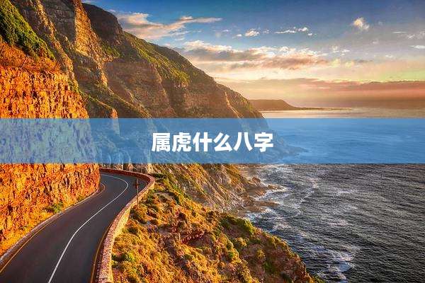 属虎什么八字