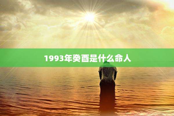 1993年癸酉是什么命人