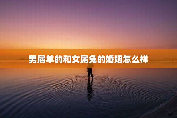 男属羊的和女属兔的婚姻怎么样