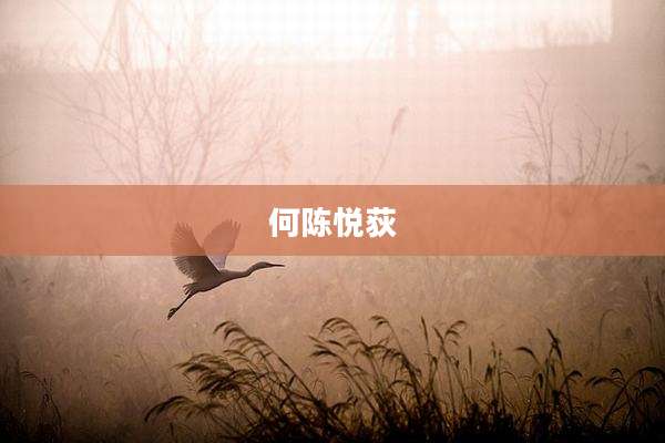 何陈悦荻