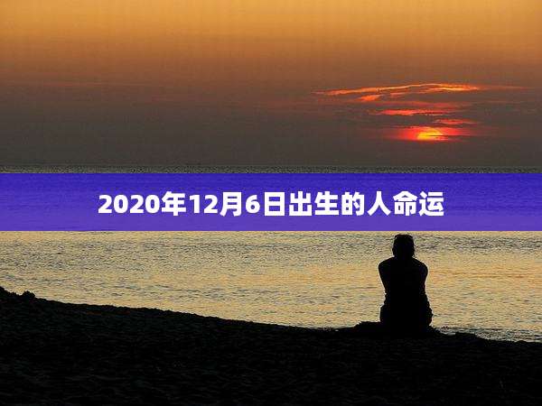 2020年12月6日出生的人命运
