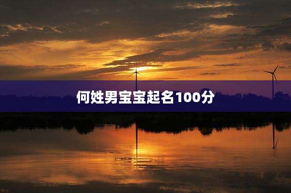 何姓男宝宝起名100分